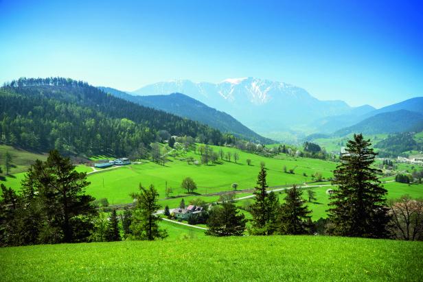 Wiener Neustadt/Bucklige Welt: Tor zum Schmankerlparadies