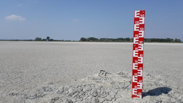 „Verdammt wenig Wasser“: Trockenheit setzt Neusiedler See zu