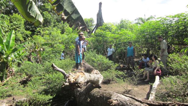 Hofer im Amazonas (2/2)