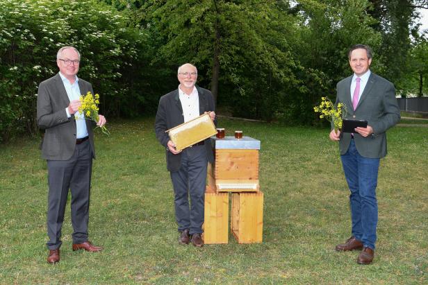 Landwirtschaftskammer veröffentlicht Partnerbörse für Bienen