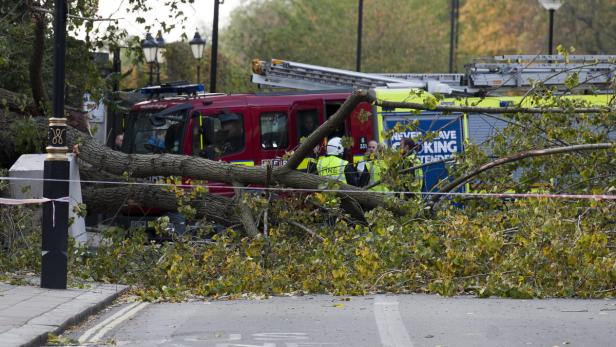 Ein umgestürzter Baum blockiert eine Straße; Feuerwehrleute sind vor Ort.