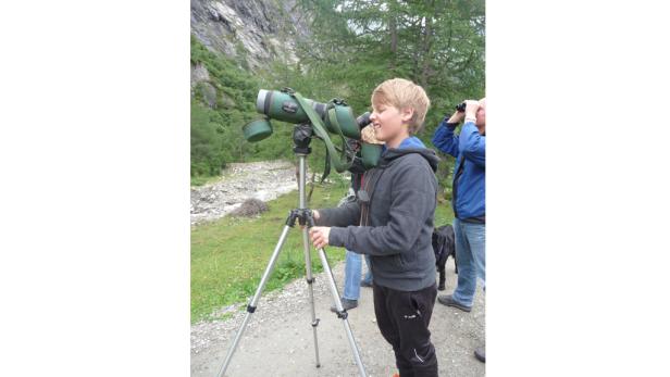 Auf Safari in den Alpen