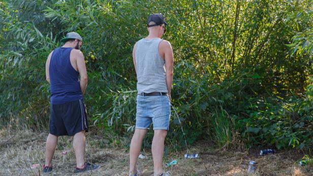 Zwei Männer urinieren in der Natur hinter Büschen.