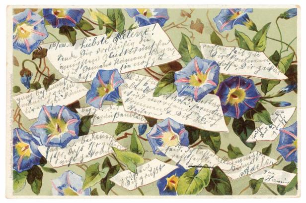 Eine Illustration von blauen Trichterwinden und verstreuten beschrifteten Papierstücken.