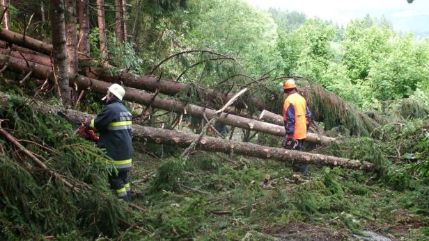Schäden nach einem Unwetter in Straßburg, Kärnten Zwei Arbeiter mit Schutzkleidung zersägen umgestürzte Bäume in einem Wald.