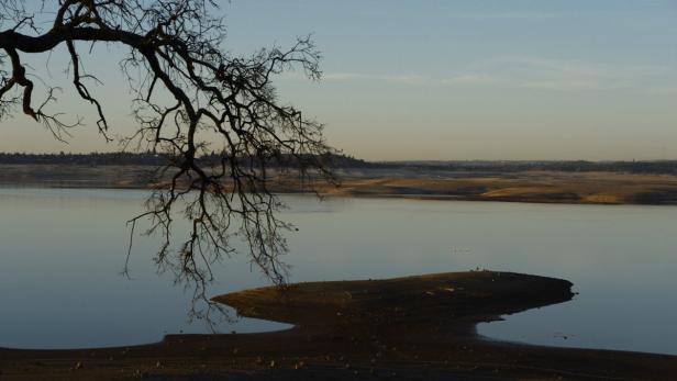Ein See mit einer kleinen Insel und einem kahlen Baum im Vordergrund.
