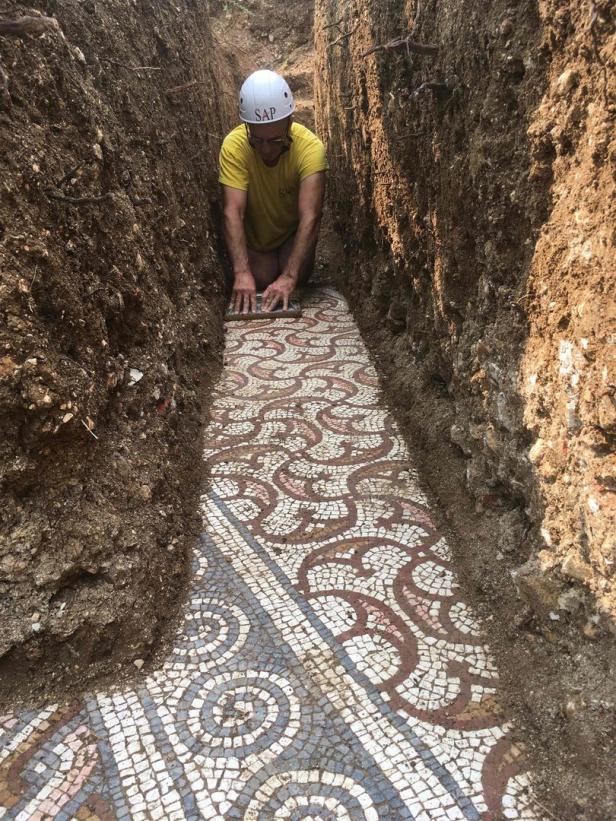 Verona: Außergewöhnlich gut erhaltenes römisches Mosaik entdeckt