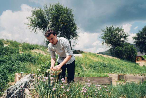 Der Gartensommer Niederösterreich – Erfrischend zauberhaft