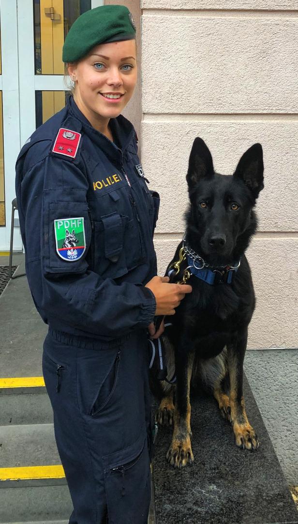 Wiener Polizeihund "Domina" stellte mutmaßliche Einbrecher