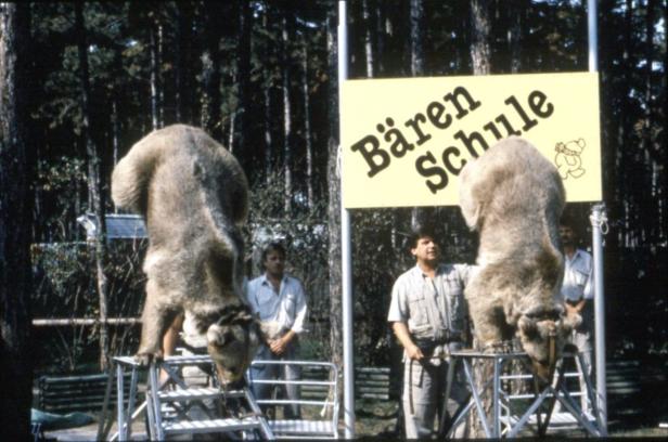 Bärenwald Arbesbach: Ehemaliger Zirkusbär verstorben