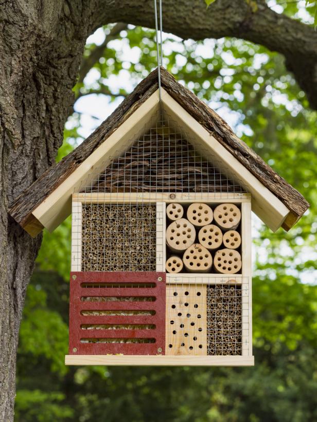 Insektenhotel: So bauen Sie eine Nisthilfe im Garten