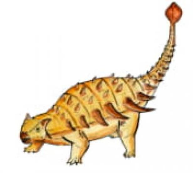 Paläontologie: Ein Dino, der schneller schnüffelte als dachte