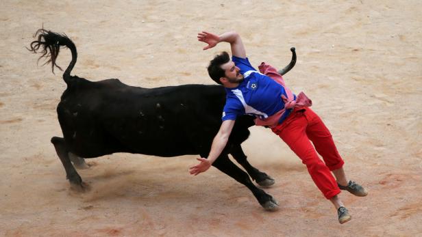 Ein Mann in roter Hose wird von einem schwarzen Stier angegriffen.
