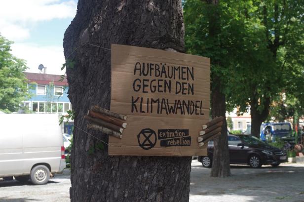 Südburgenland: Baum-Botschaft der Klima-Rebellen