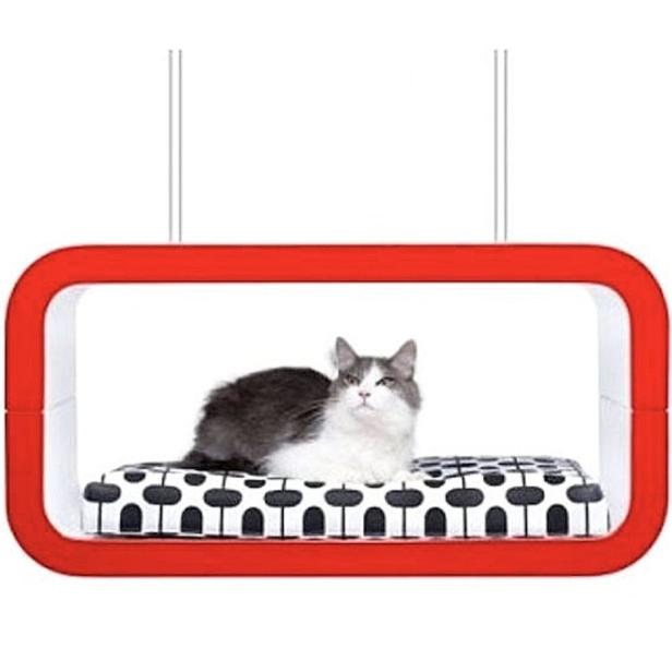 Designermöbel für  Haustiere