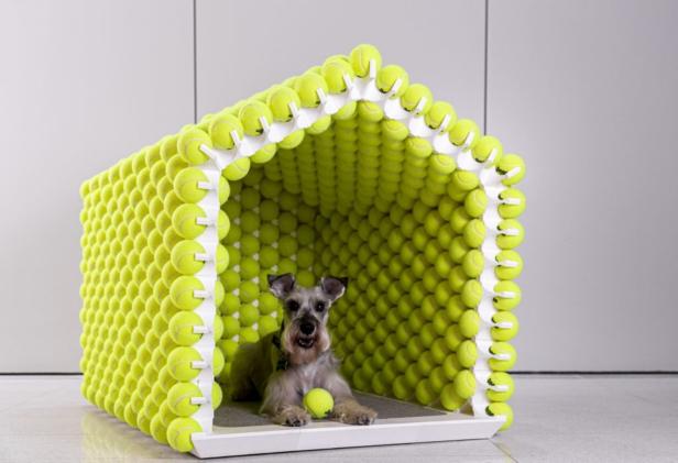 Designermöbel für  Haustiere
