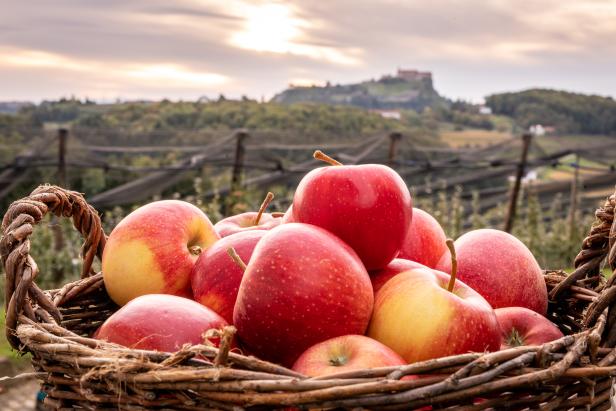 Ein Apfel mehr im Monat ­ Genießen und die heimische Landwirtschaft stärken