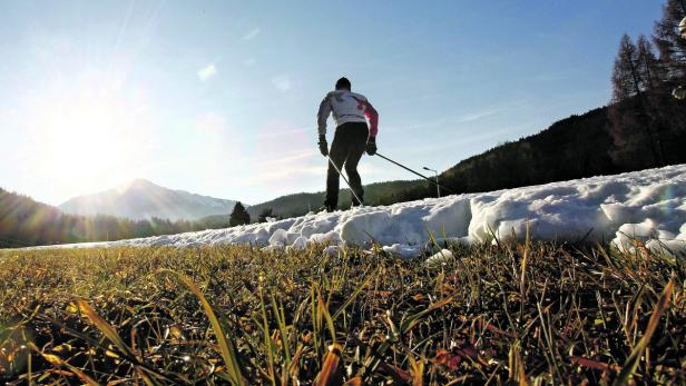 Klimabericht: Europa stärker betroffen, Ende der Arten-Vielfalt