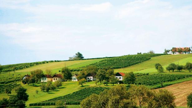Wein-Idylle im Südburgenland