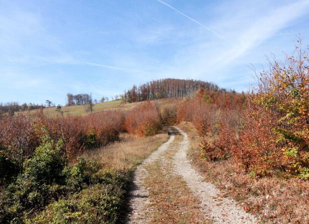 Wandern auf alten Wegen