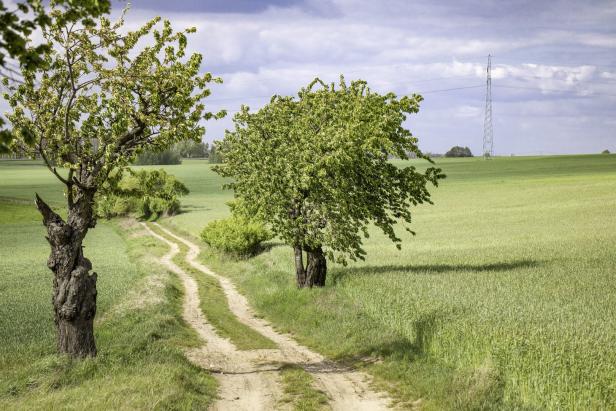 Wandern auf alten Wegen