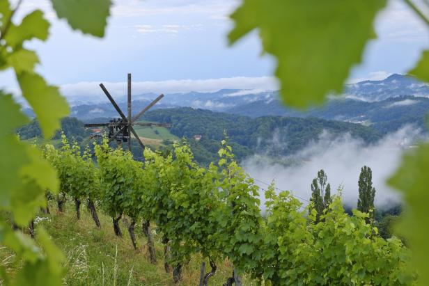 Durchs Sausaltal: Die weniger bekannte Weinstraße der Steiermark