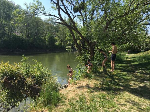 Urbanes Baden in Wien: Verein animiert zum Schwimmen im Donaukanal