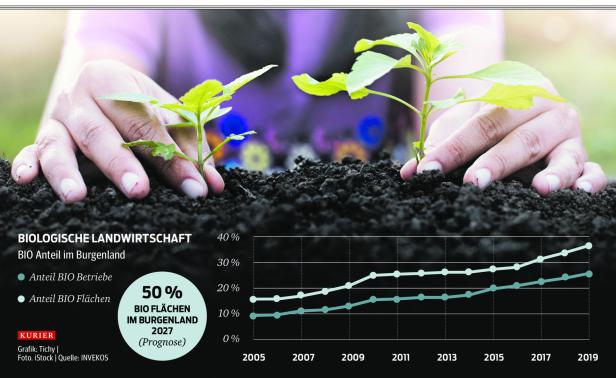 Burgenlands Bauern vor Bio-Kraftakt