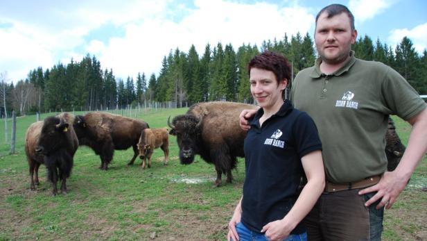 Wo Bisons grasen und Kamele trotten