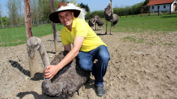 Wo Bisons grasen und Kamele trotten