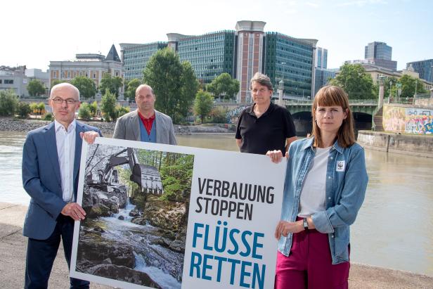 Artensterben in Flüssen: Kritik an "subventionierter Umweltzerstörung"