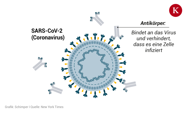 Coronavirus-Impfstoff: Wie weit die Forschung bereits gekommen ist