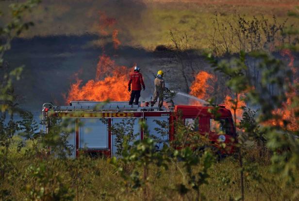 Bolsonaro bezeichnet Brände im Amazonas-Gebiet als "Lüge"
