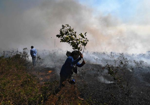Bolsonaro bezeichnet Brände im Amazonas-Gebiet als "Lüge"