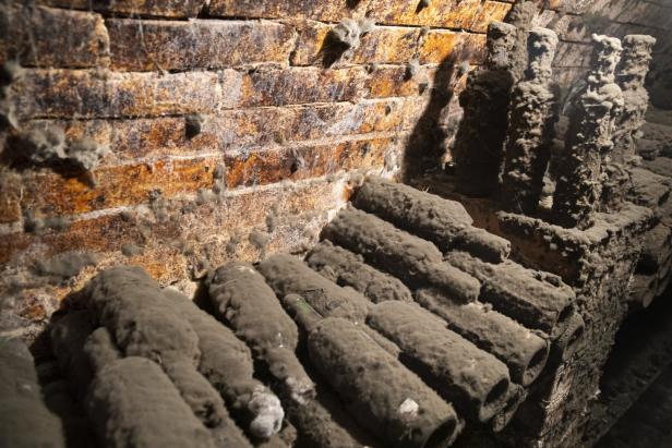 Zu Besuch in den Kellergassen: Wo der Wein wohnt