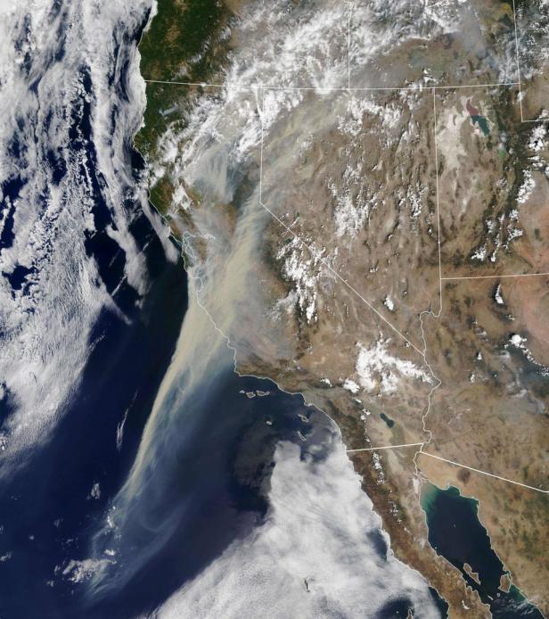 Waldbrände in Kalifornien:  "Jeder muss einen Fluchtplan haben"