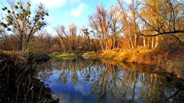 Wandern auf dem Wasser