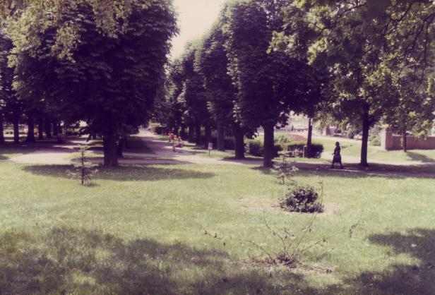 Wie der Stadtpark in den Stadtgarten verwandelt wird