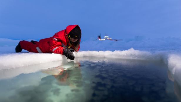 Anruf aus der Arktis: "Viel zu warm und nicht normal"