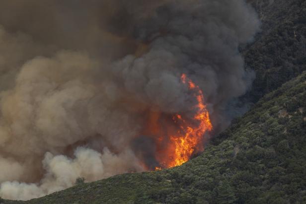 Waldbrände: Kalifornien ist derzeit Hotspot des Klimawandels