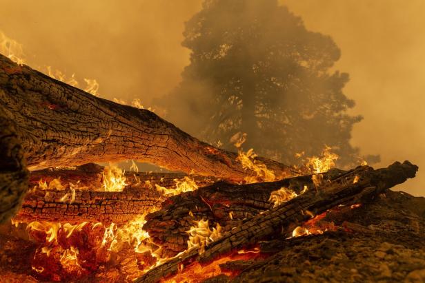 Waldbrände: Kalifornien ist derzeit Hotspot des Klimawandels