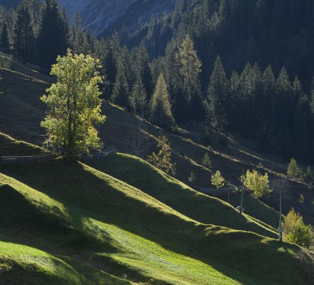 Schöne Auszeit: Wandern in Auszeitdörfern der Lechtaler Alpen