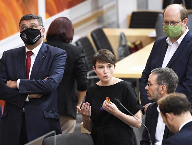 Coronagesetze: SPÖ und NEOS nach Gespräch mit Anschober versöhnlich