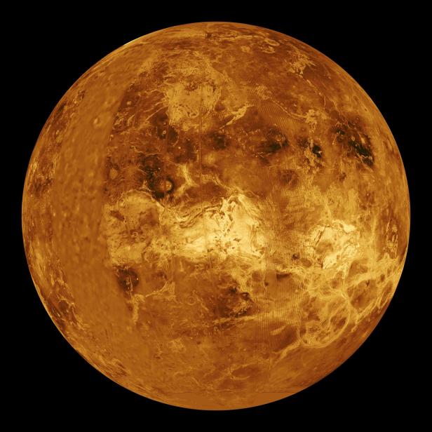 Venus: Hinweis auf außerirdisches Leben gefunden