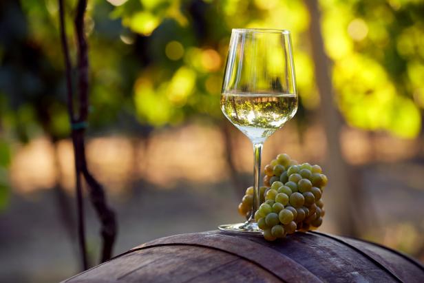 Wiener Weinwandertag bringt zusätzliche Route wegen Corona