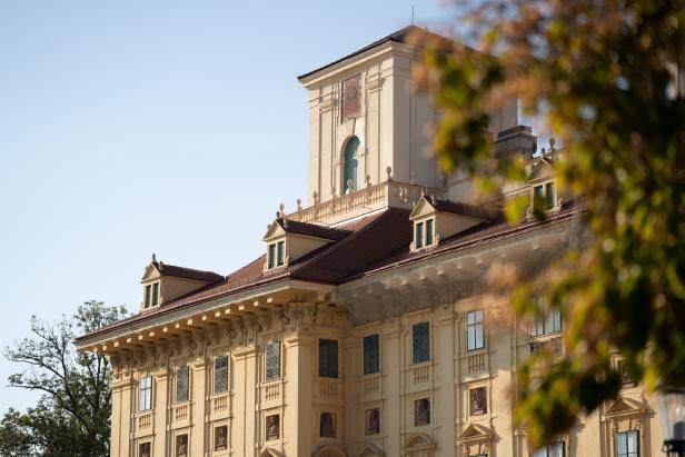 Gelbes barockes Gebäude mit grün geschlossenen Fensterläden, verziertem Dach und Turm, im Vordergrund unscharfe Blätter.