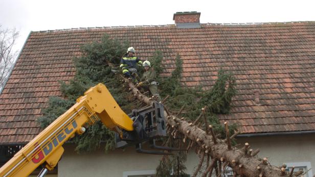 Darf ich in den Vertrag eintreten?