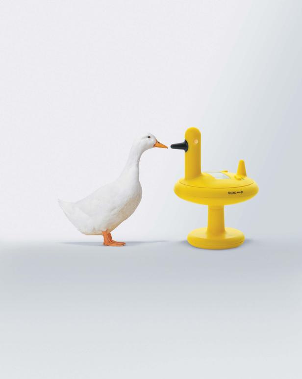 Eine weiße Ente steht neben einem gelben Küchentimer in Entenform.