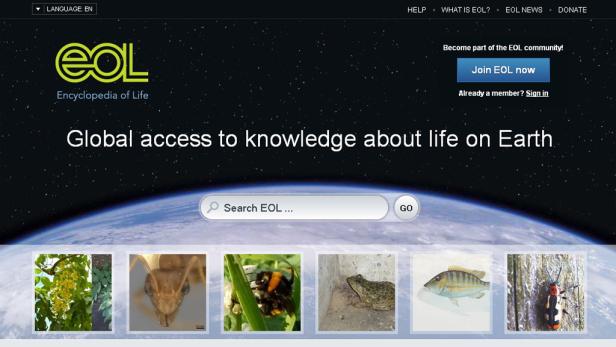 Neues Portal für Biologie-Interessierte