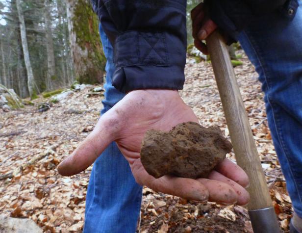 Ein Schweizer Meteorit für das Naturhistorische Museum